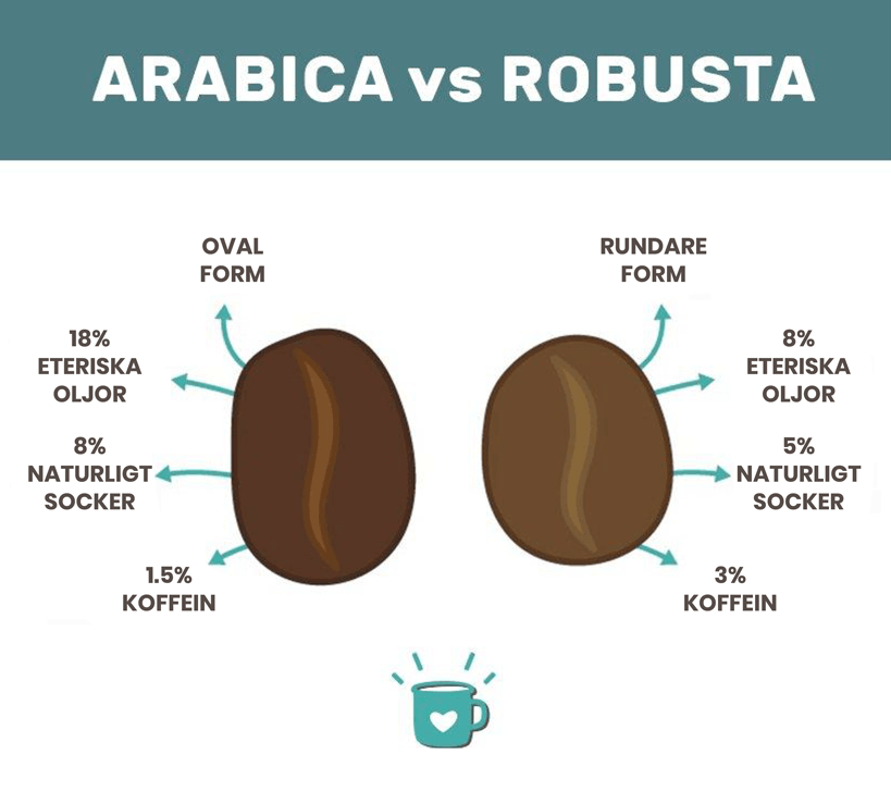 Coffee: Arabica beans v Robusta beans 阿拉比卡Vs罗布斯塔