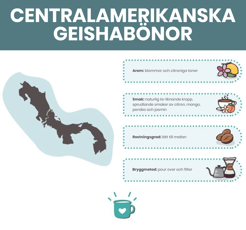 CentralAmericaGeishaBeans