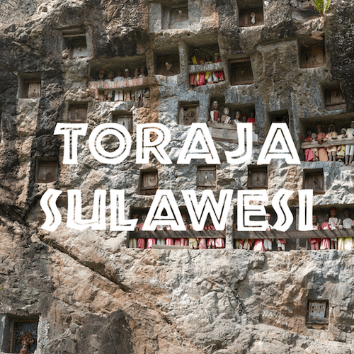 Toraja Sulawesi coffee poster