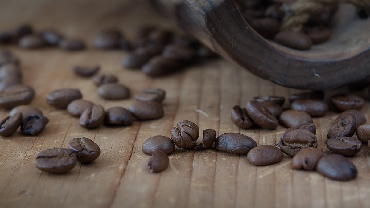 弗朗斯克罗斯特卡夫