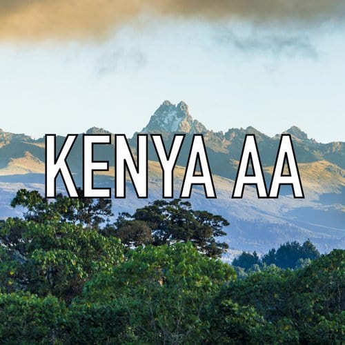 Kenya AA coffee bean label