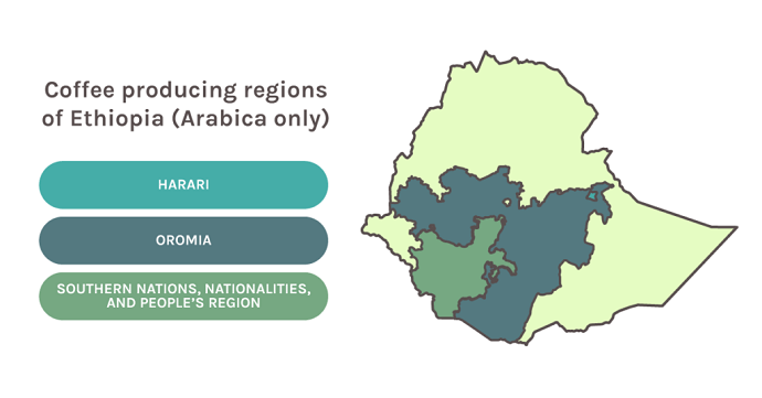 Map Of Ethiopia’s Coffee Producing Regions