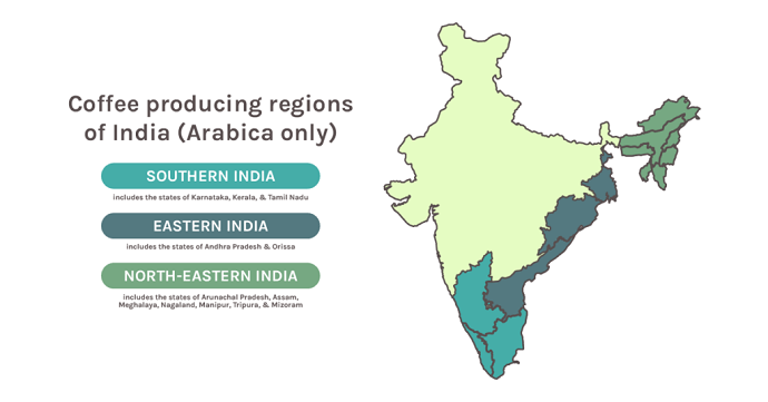 Map Of India’s Coffee Producing Regions