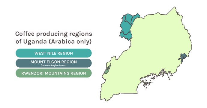 Map Of Uganda's Coffee Producing Regions