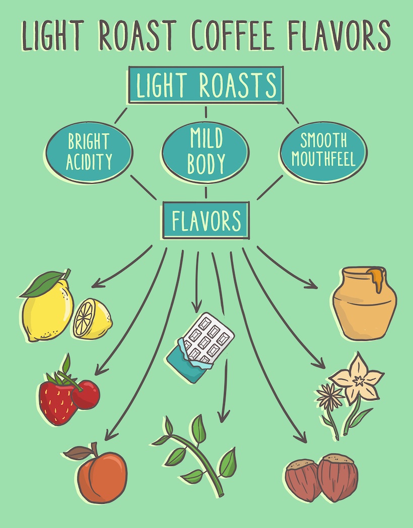 flavors that make the best light roast coffee beans