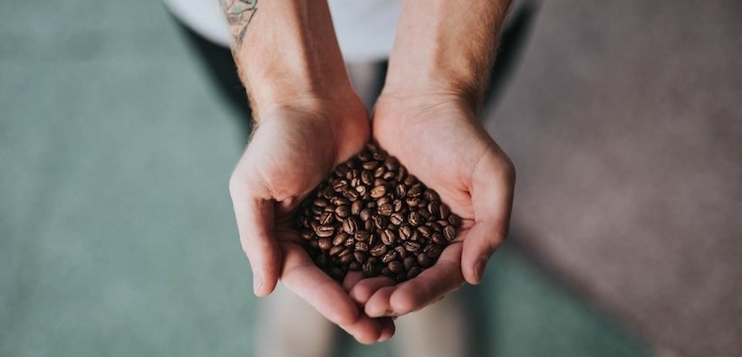 the best coffee beans being held in the palm of my hand