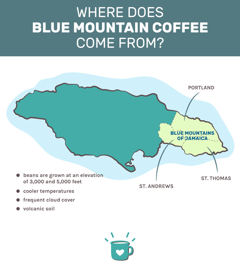 蓝山咖啡来自哪里?