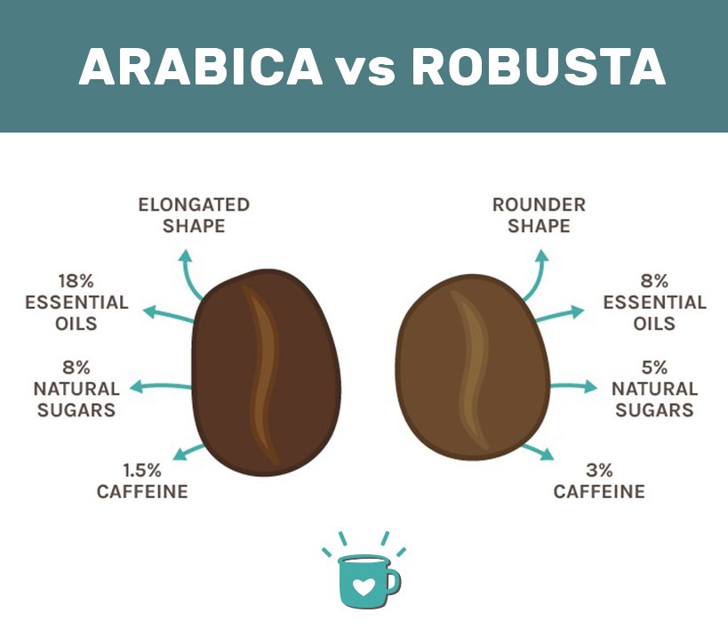 arabica vs robusta