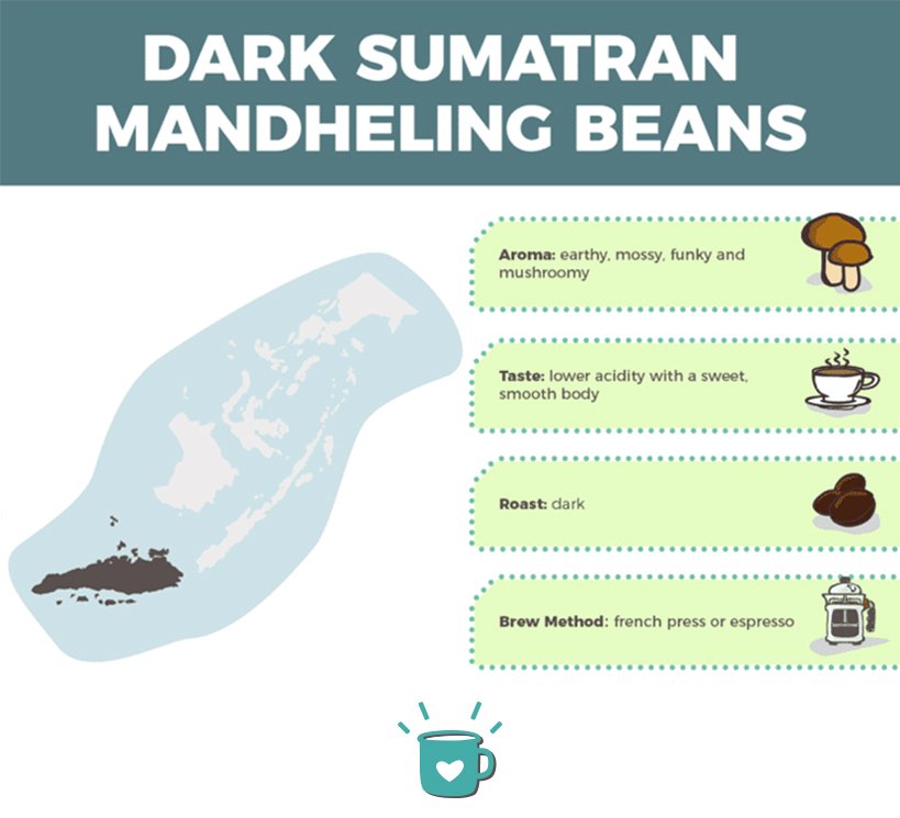 dark sumatran mandheling beans