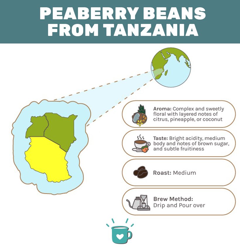 peaberry beans