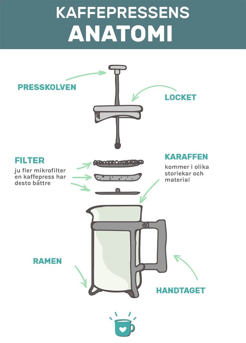 Kaffepressens Anatomi