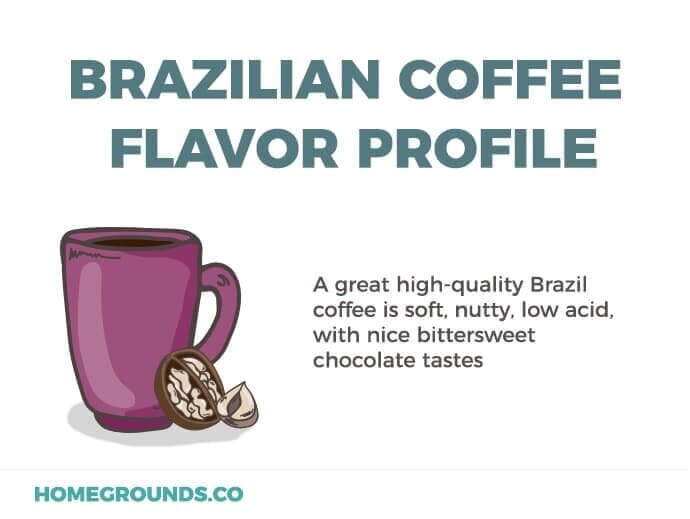 Brazilian Coffee Flavor Profile