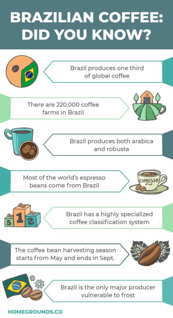 Brazilian coffee facts