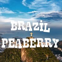 Brazilian Peaberry