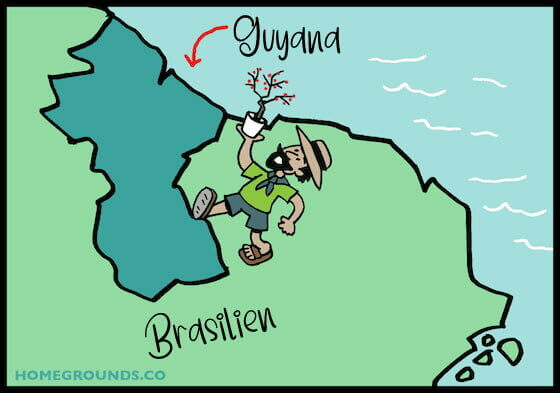 16-Guyana-and-Brazil-copy