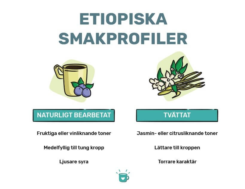 埃塞俄比亚风味,