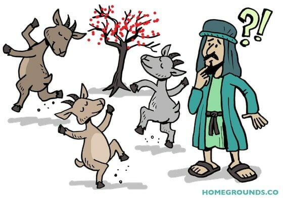 卡尔迪的跳舞的山羊