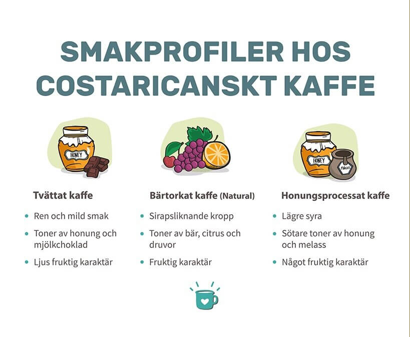 哥斯达黎加咖啡