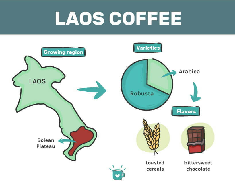 老挝咖啡指南