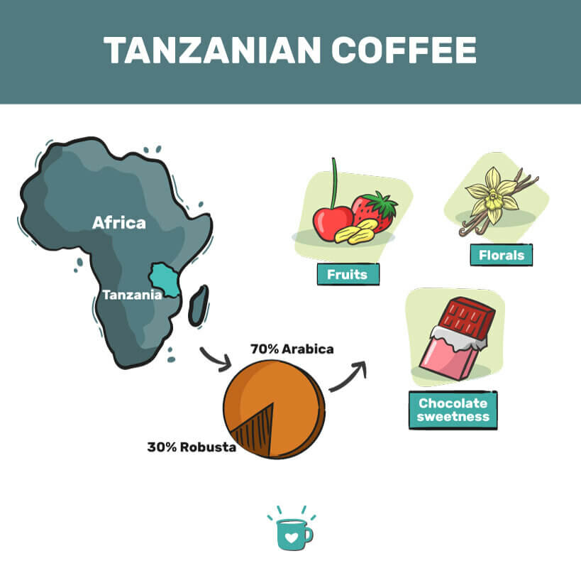 tanzanian咖啡指南