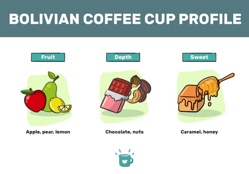 玻利维亚咖啡口味简介