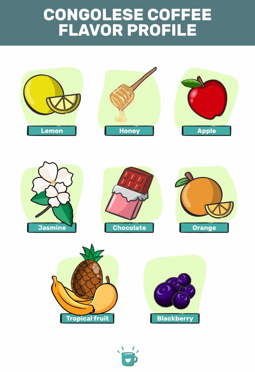 刚果咖啡口味剖面