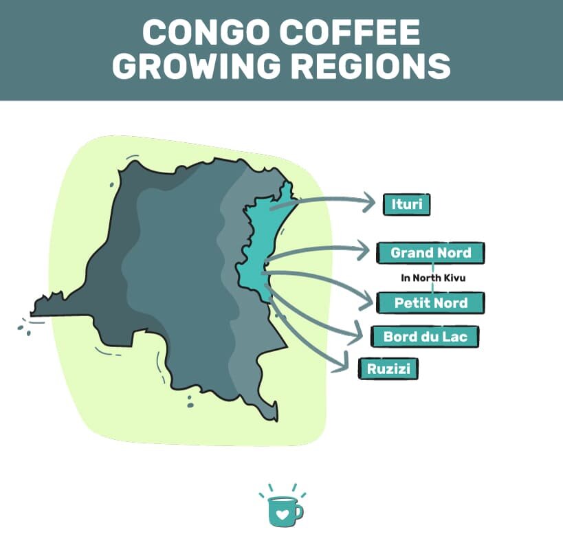 刚果咖啡种植区