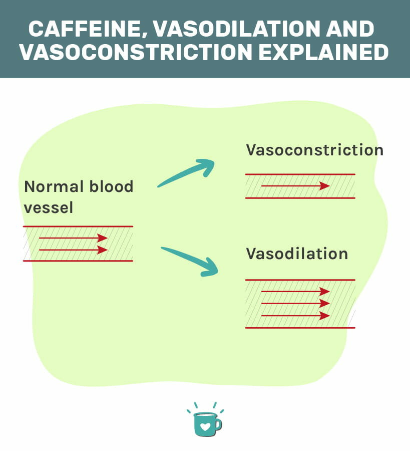 咖啡因瓦瑟拉和瓦索拉解析